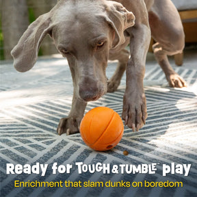 Brightkins - Basketball Treat Dispenser