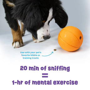 Brightkins - Basketball Treat Dispenser