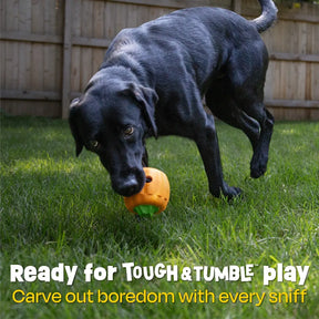 Brightkins - Tough & Tumble 2-piece Pumpkin