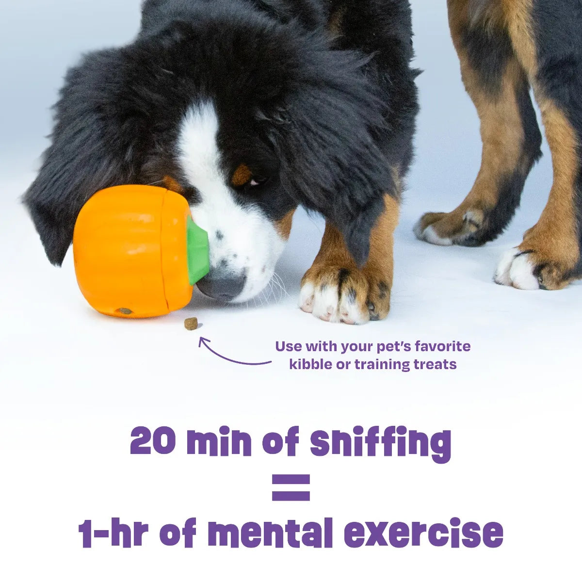 Brightkins - Tough & Tumble 2-piece Pumpkin