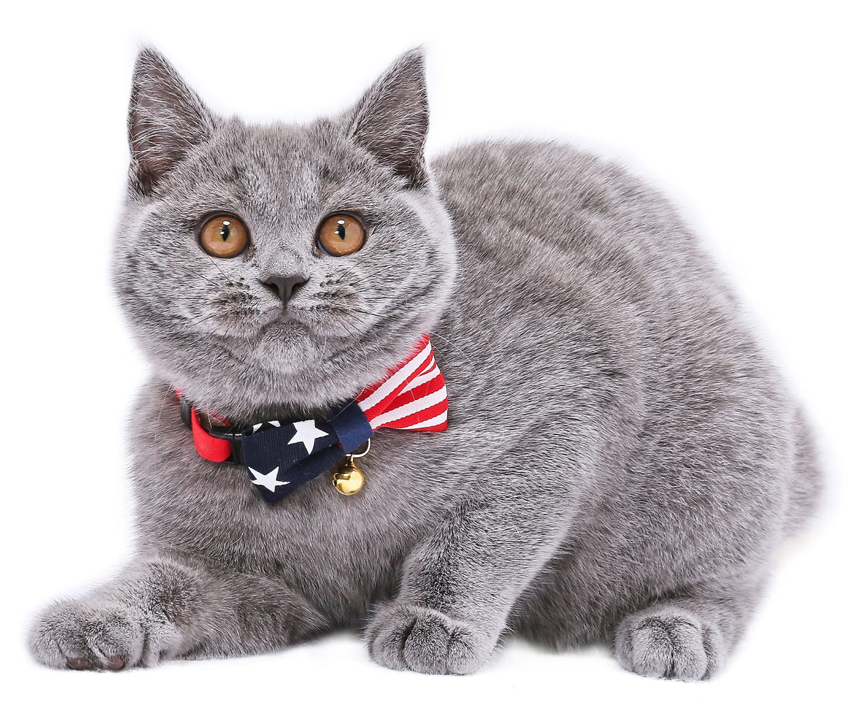 Cat Collar My Cat For President