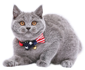 Cat Collar My Cat For President