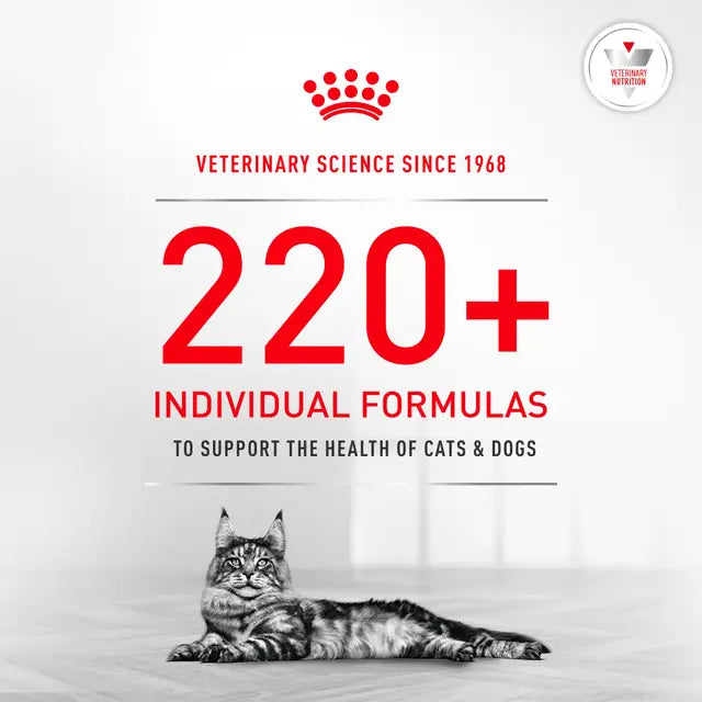 Royal Canin Veterinary Diet - Glycoadvanced Cat Dry Food