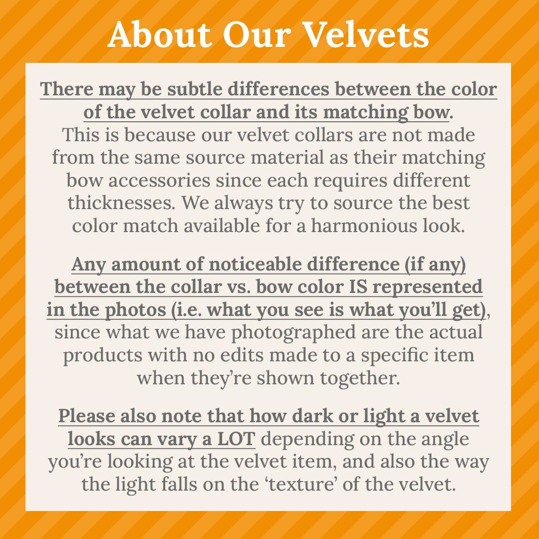 Made by Cleo - Velvet Breakaway Cat Collar with Bunny Ears