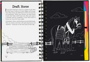 Scratch & Sketch Horses