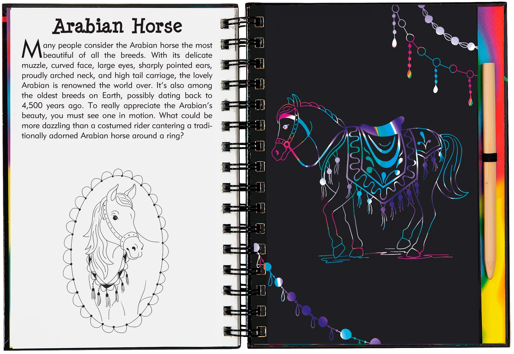 Scratch & Sketch Horses