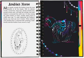 Scratch & Sketch Horses