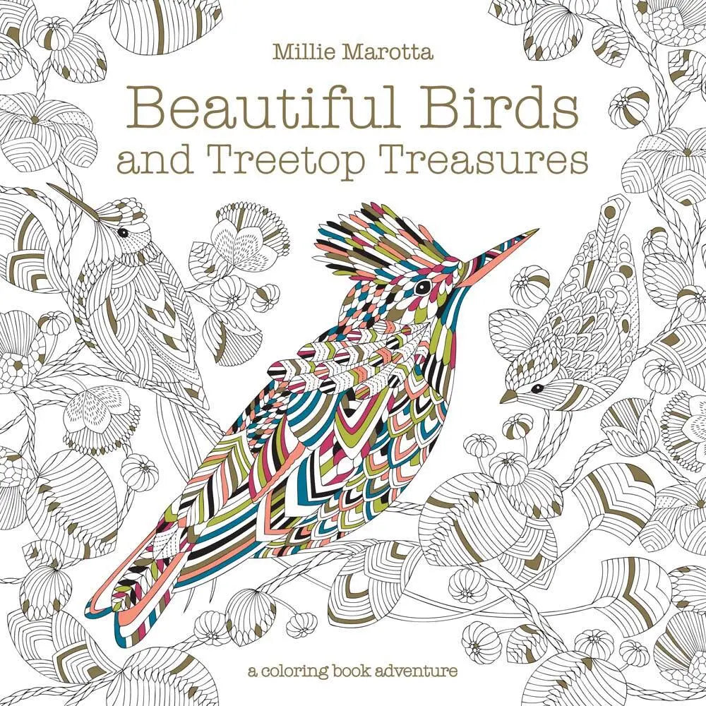 Hachette Book Group - Coloring Book Beautiful Birds