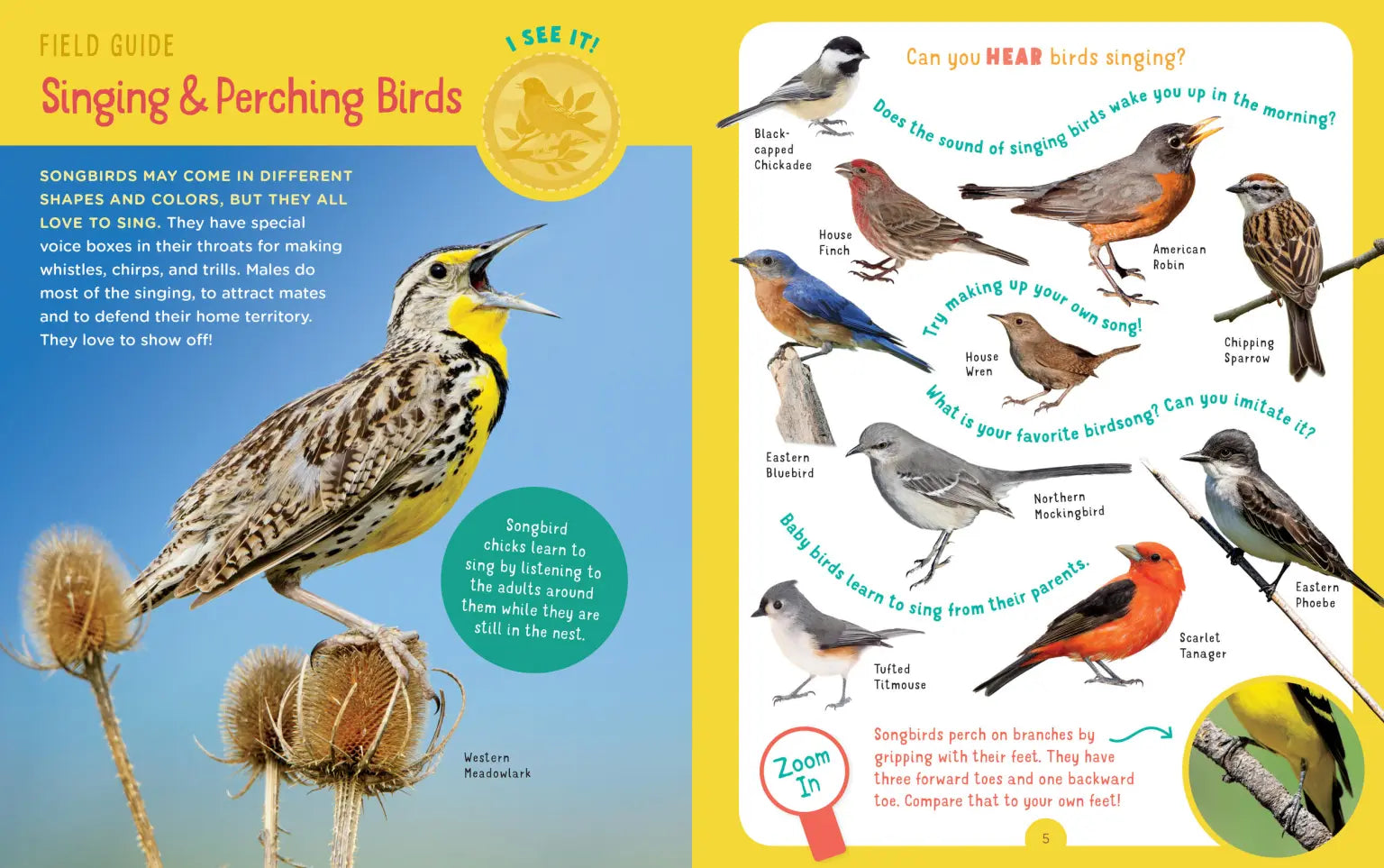 Backpack Explorer: Bird Watch Book