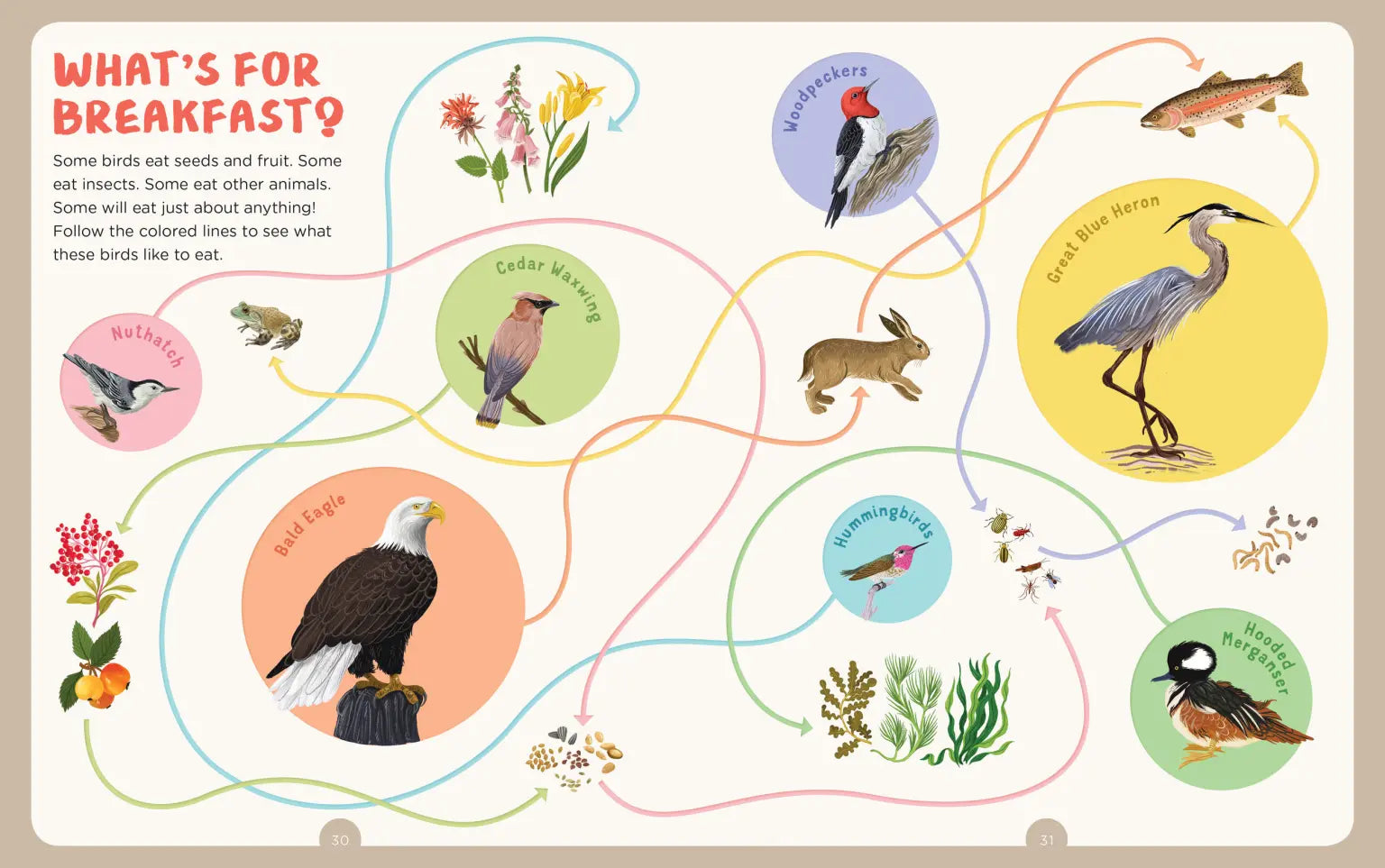 Backpack Explorer: Bird Watch Book