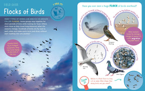 Backpack Explorer: Bird Watch Book