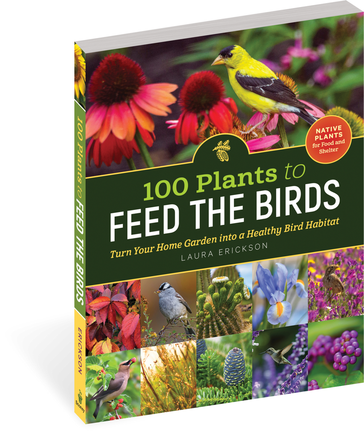 100 Plants To Feed The Birds Paperback Book