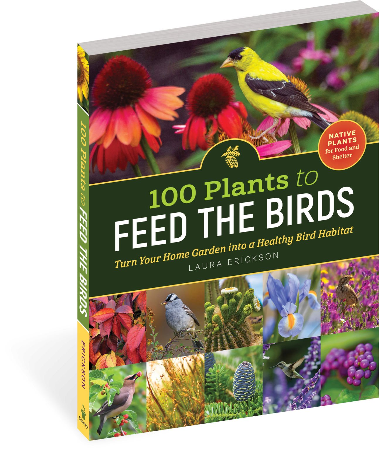 100 Plants To Feed The Birds Paperback Book