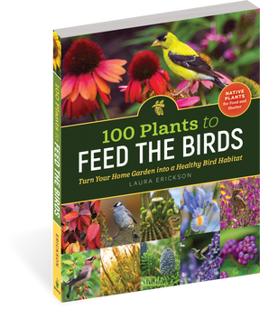 100 Plants To Feed The Birds Paperback Book