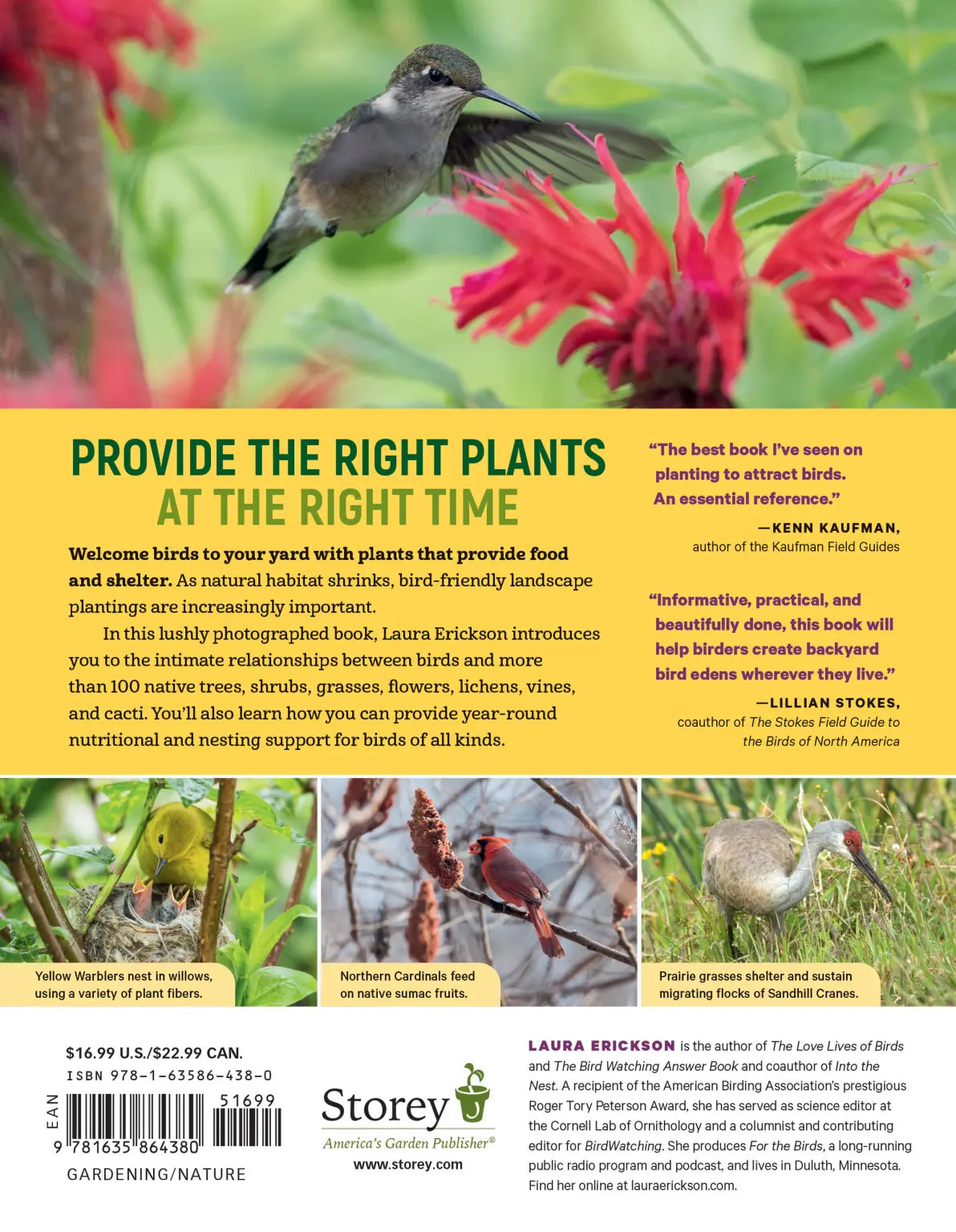 100 Plants To Feed The Birds Paperback Book