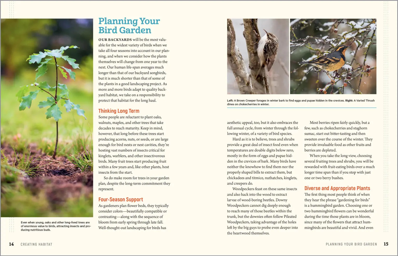 100 Plants To Feed The Birds Paperback Book