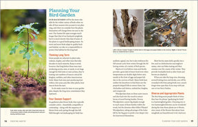 100 Plants To Feed The Birds Paperback Book
