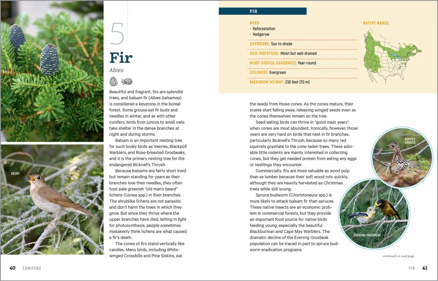 100 Plants To Feed The Birds Paperback Book