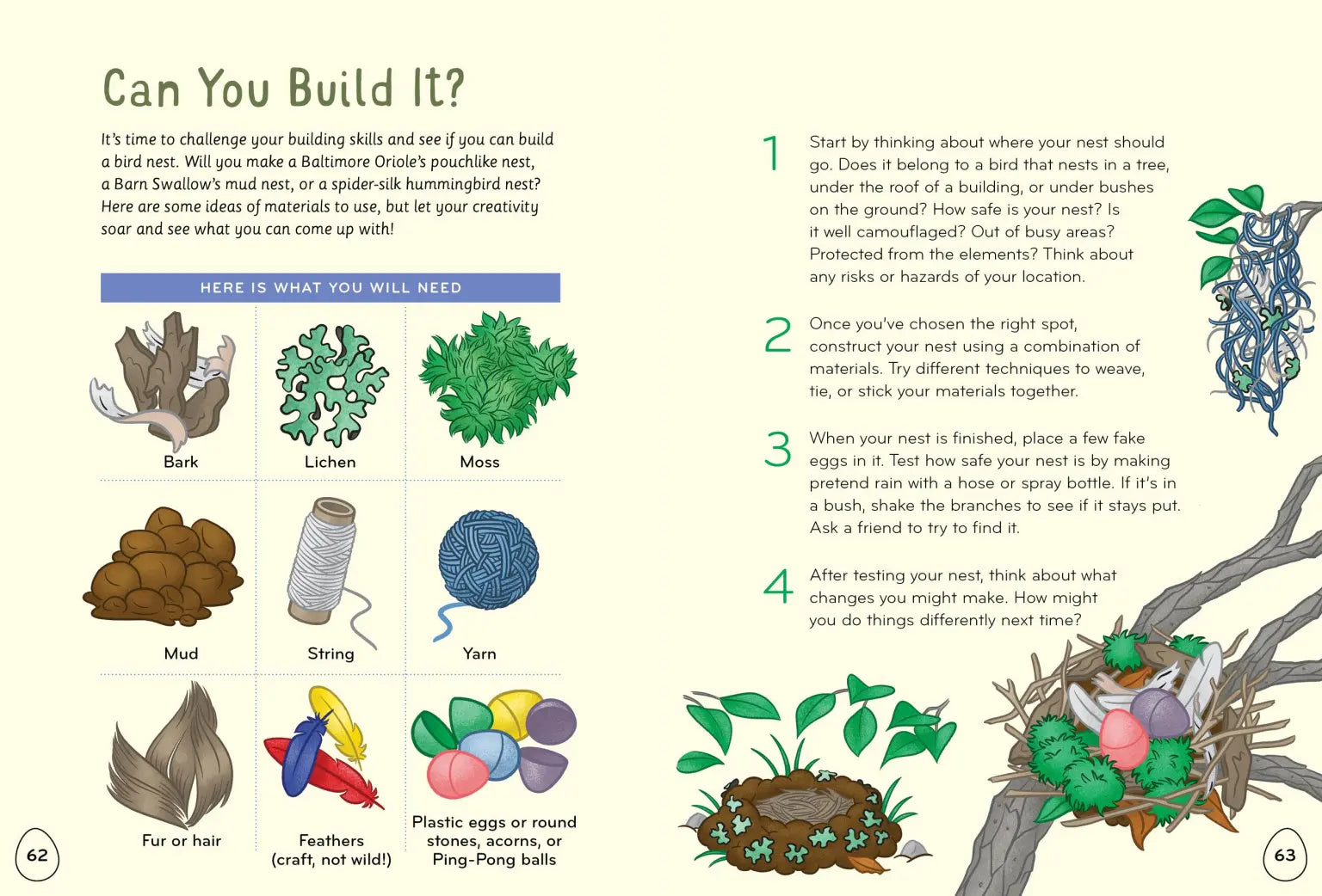 I Love Birds Activity Book