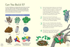 I Love Birds Activity Book