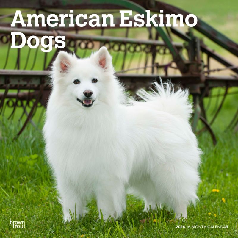 2024 American Eskimo Calendar