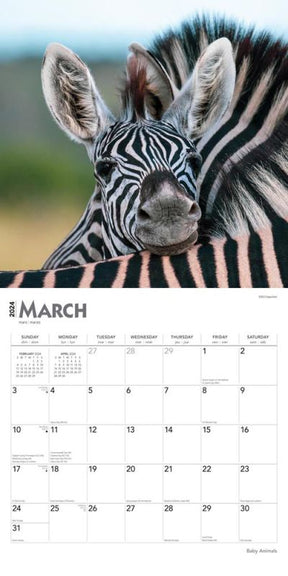 2024 Baby Animals Calendar