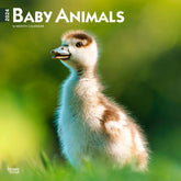 2024 Baby Animals Calendar