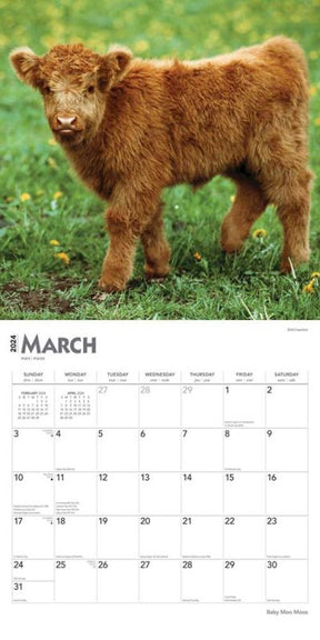 2024 Baby Moo Moos Calendar