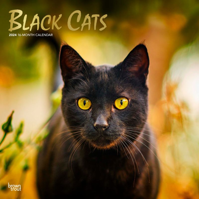 2024 Black Cats Calendar