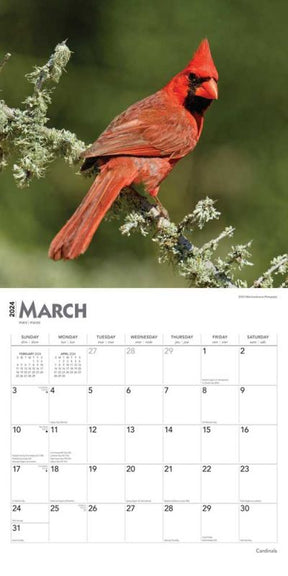 2024 Cardinals Calendar