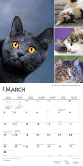 2024 Cat Lovers Calendar