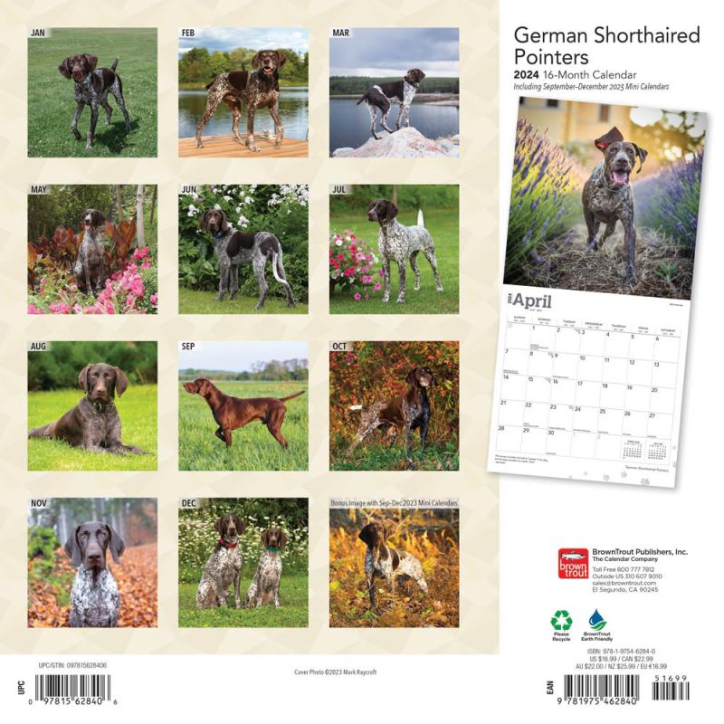 2024 German Shorthaired Pointers Calendar