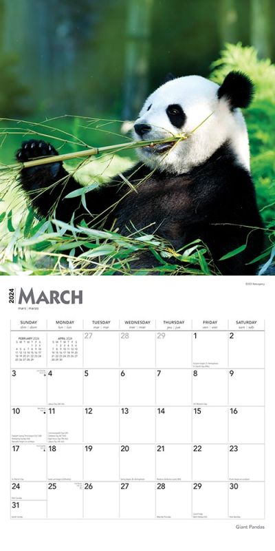 2024 Giant Pandas Calendar