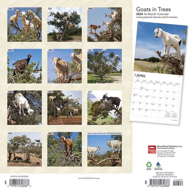 2024 Goats in Trees Calendar