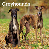 2024 Greyhounds Calendar