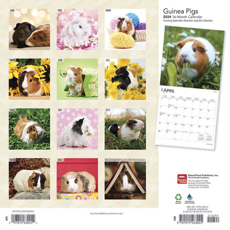 2024 Guinea Pigs Calendar