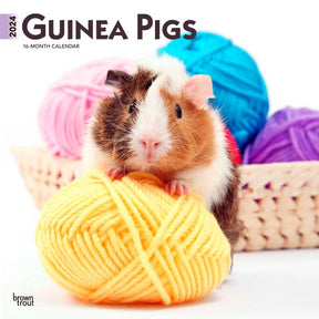 2024 Guinea Pigs Calendar