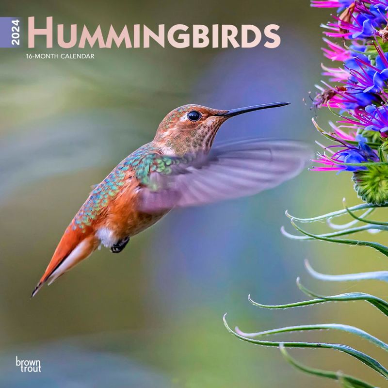 2024 Hummingbirds Calendar