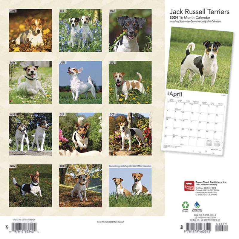2024 Jack Russell Terriers Calendar