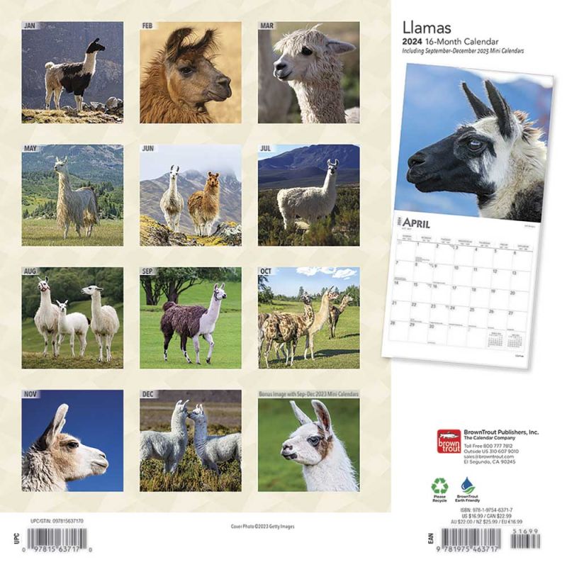 2024 Llamas Calendar