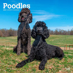 2024 Poodles Calendar