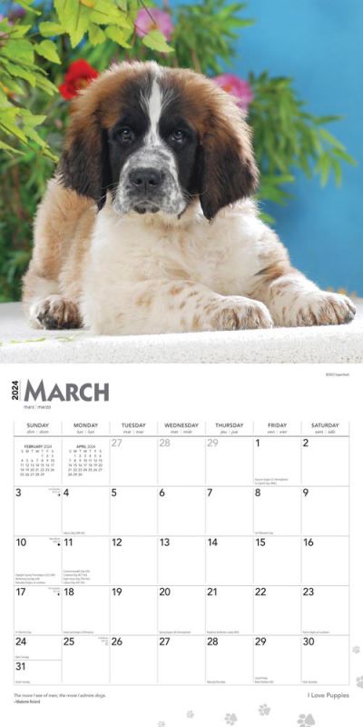 2024 I Love Puppies Calendar