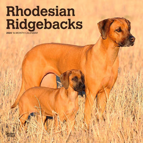 2024 Rhodesian Ridgebacks Calendar