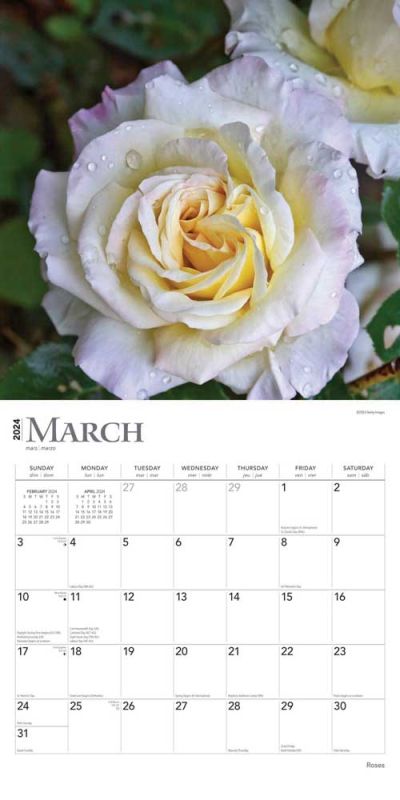 2024 Roses Calendar