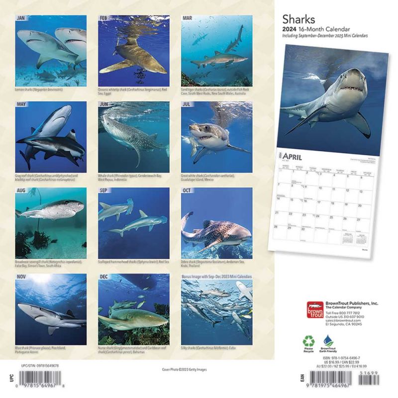 2024 Sharks Calendar