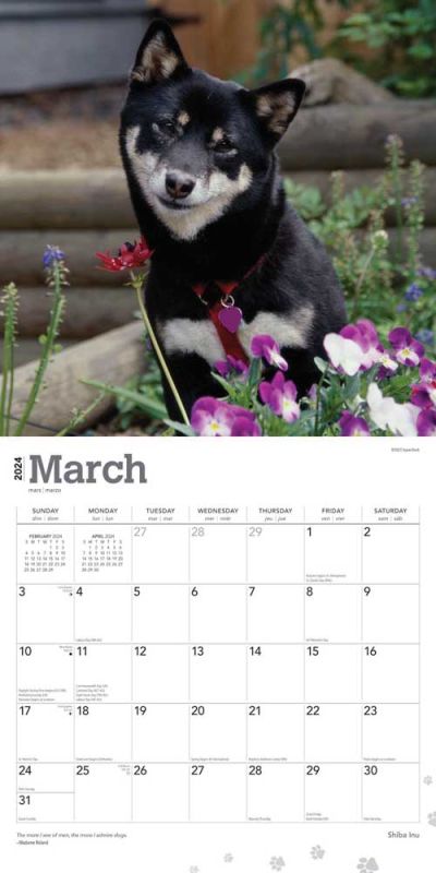 2024 Shiba Inu Calendar