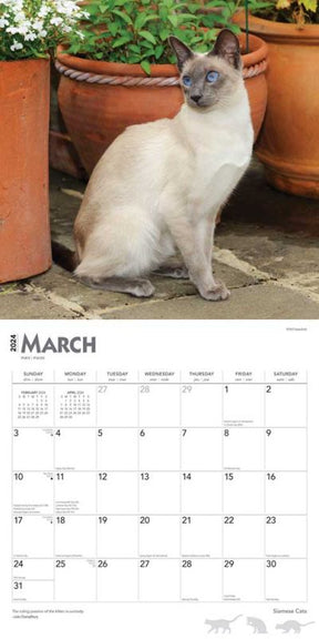2024 Siamese Cats Calendar