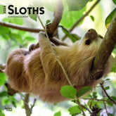 2024 Sloths Calendar