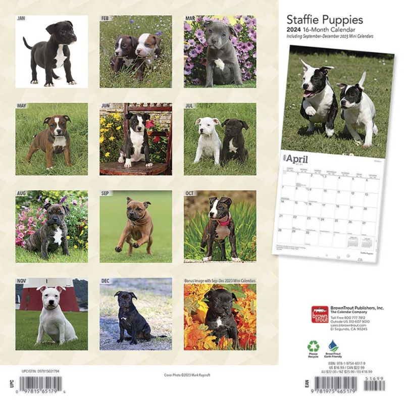 2024 Staffie Puppies Calendar