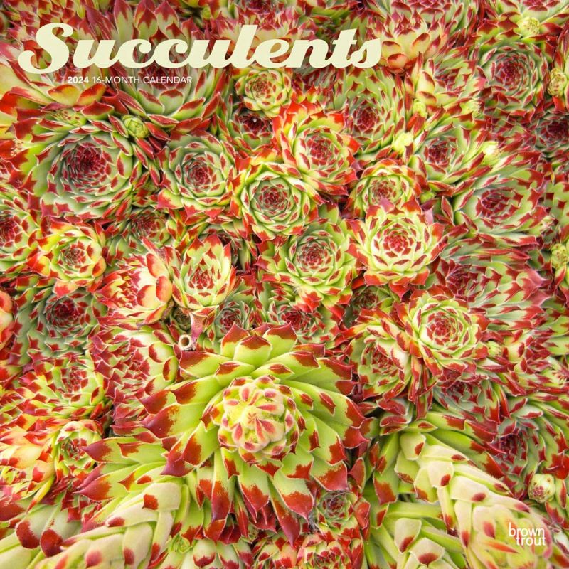 2024 Succulents Calendar